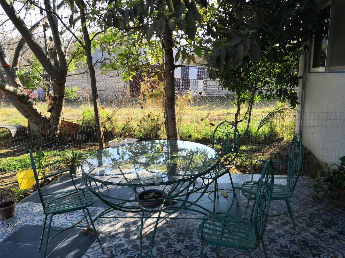 MonteAlbán house Bed and Breakfast Oaxaca Exterior foto